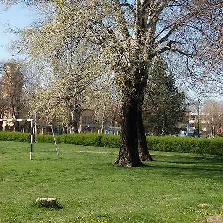 Szamóca Apartamento