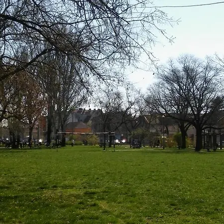 Szamoca * Сегед